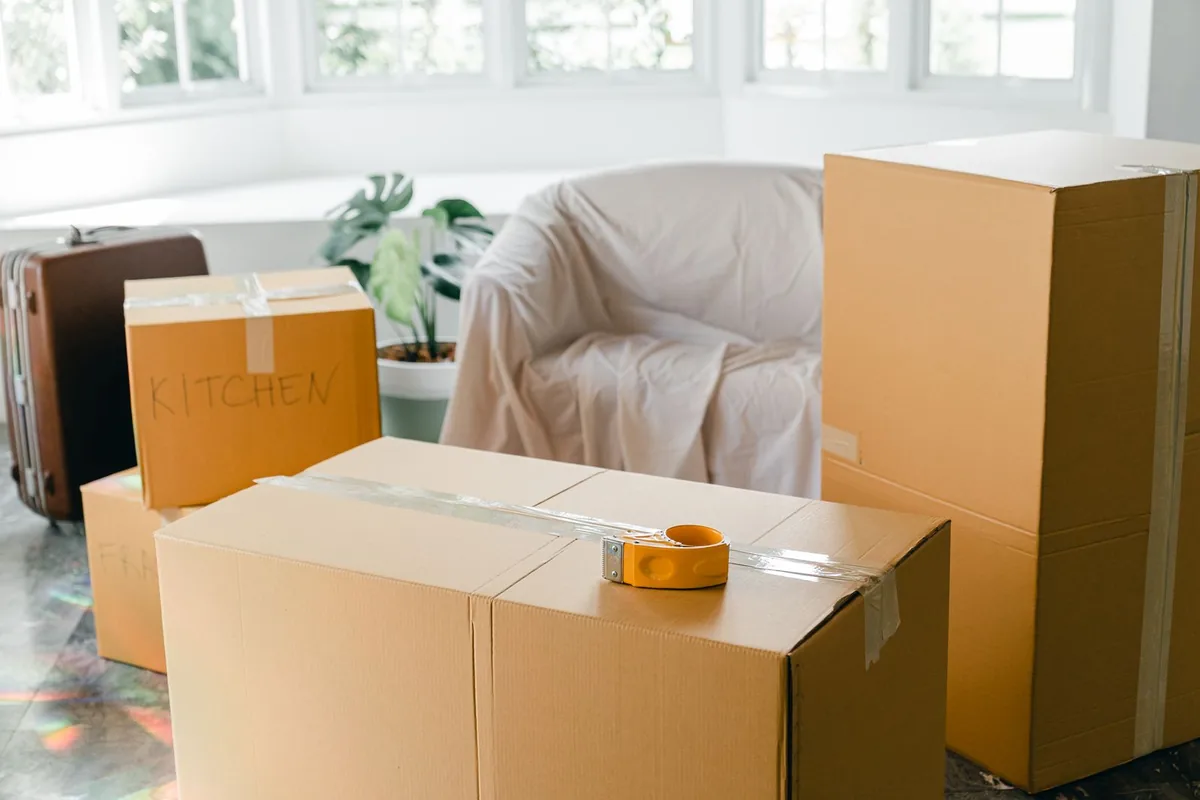 Hoarding Cleanup in Chicopee, MA